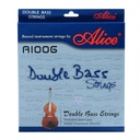 CORDE D BASS A1006
